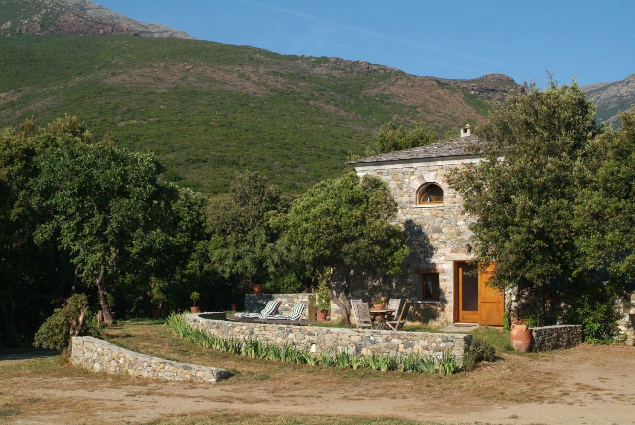 Casa-albina-corsica Vakantiehuis