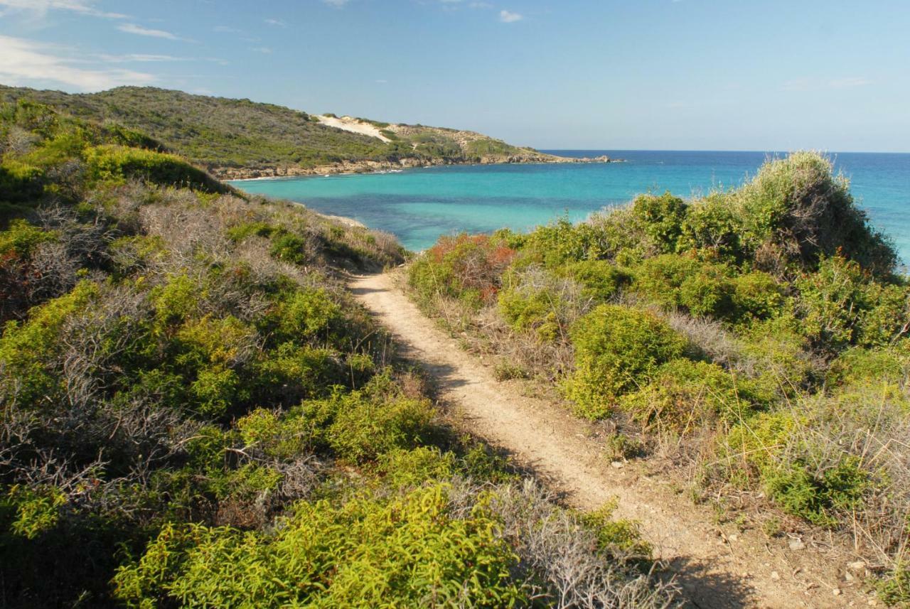 Casa-albina-corsica *
