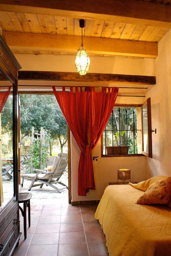 Casa-albina-corsica *
