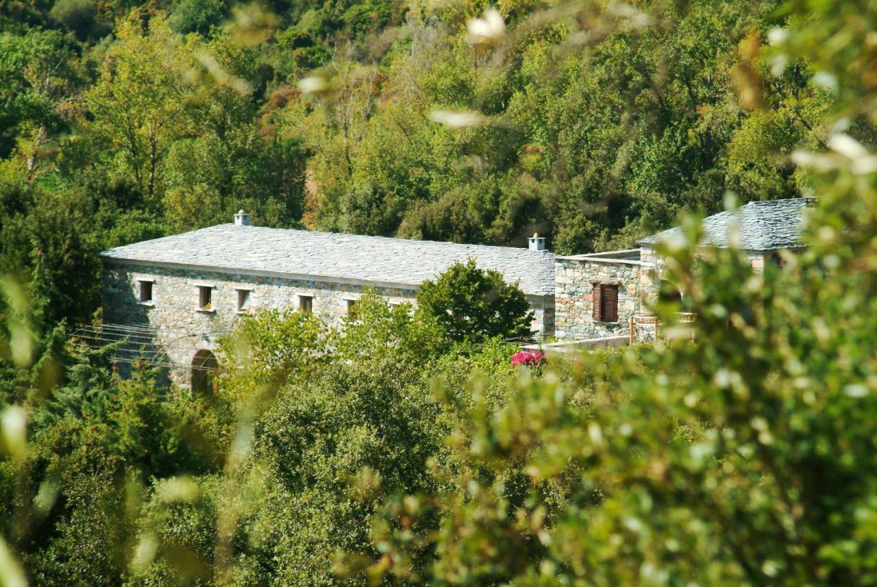 Casa-albina-corsica Patrimonio