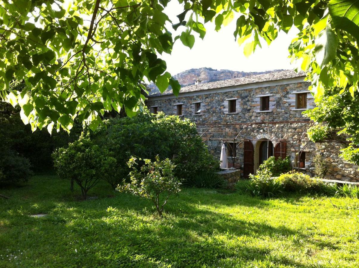 Holiday home Casa-albina-corsica *