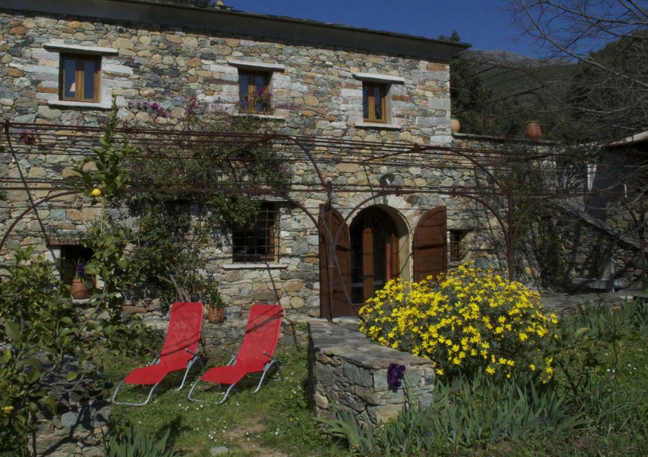 Casa-albina-corsica * Patrimonio