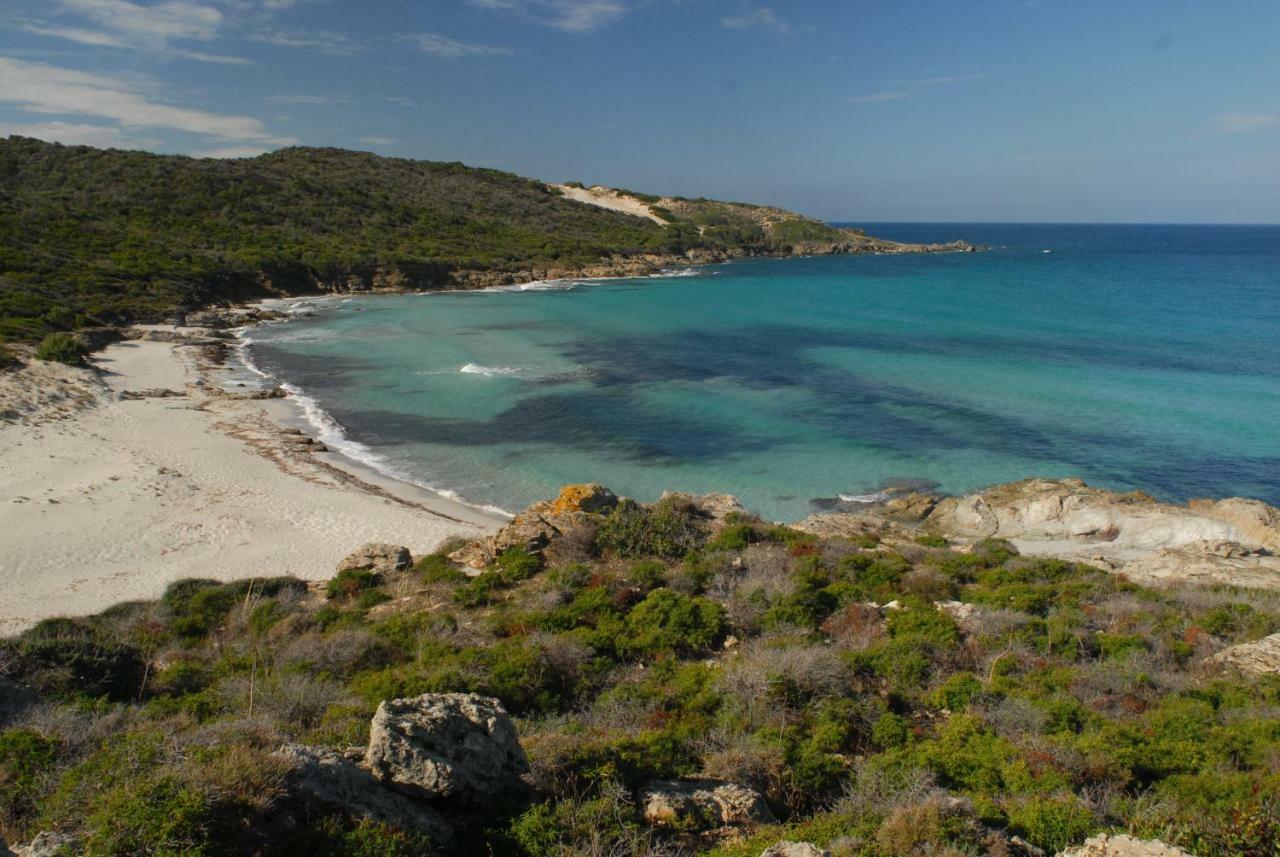 Holiday home Casa-albina-corsica