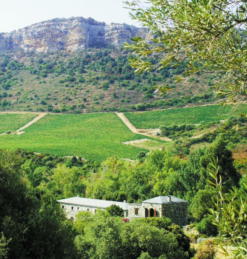 Casa-albina-corsica Holiday home