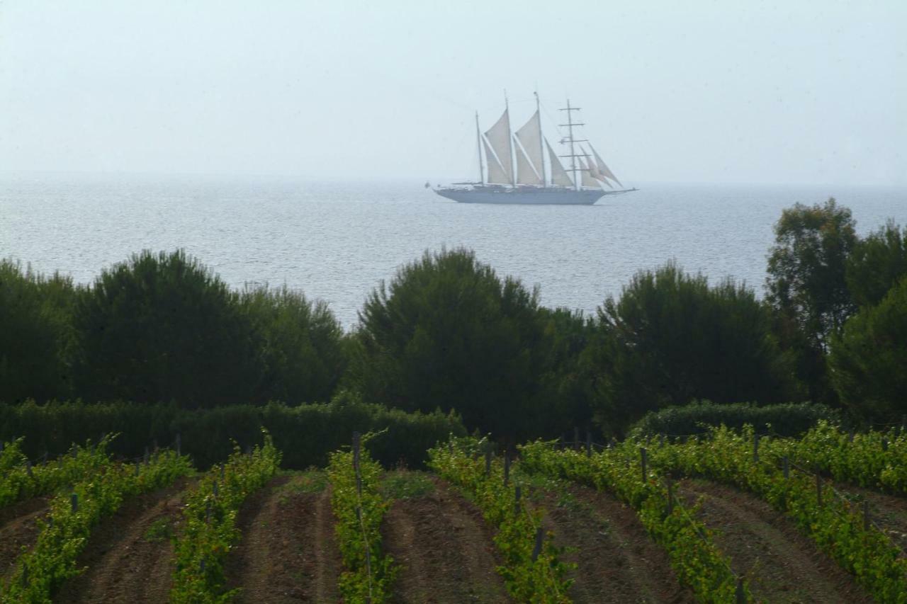 Casa-albina-corsica *
