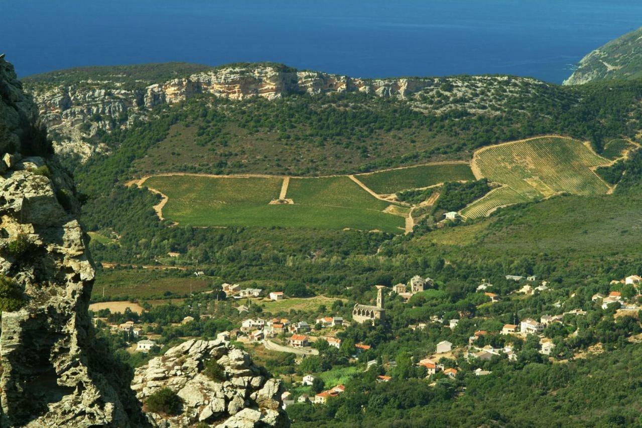 Casa-albina-corsica Holiday home Patrimonio