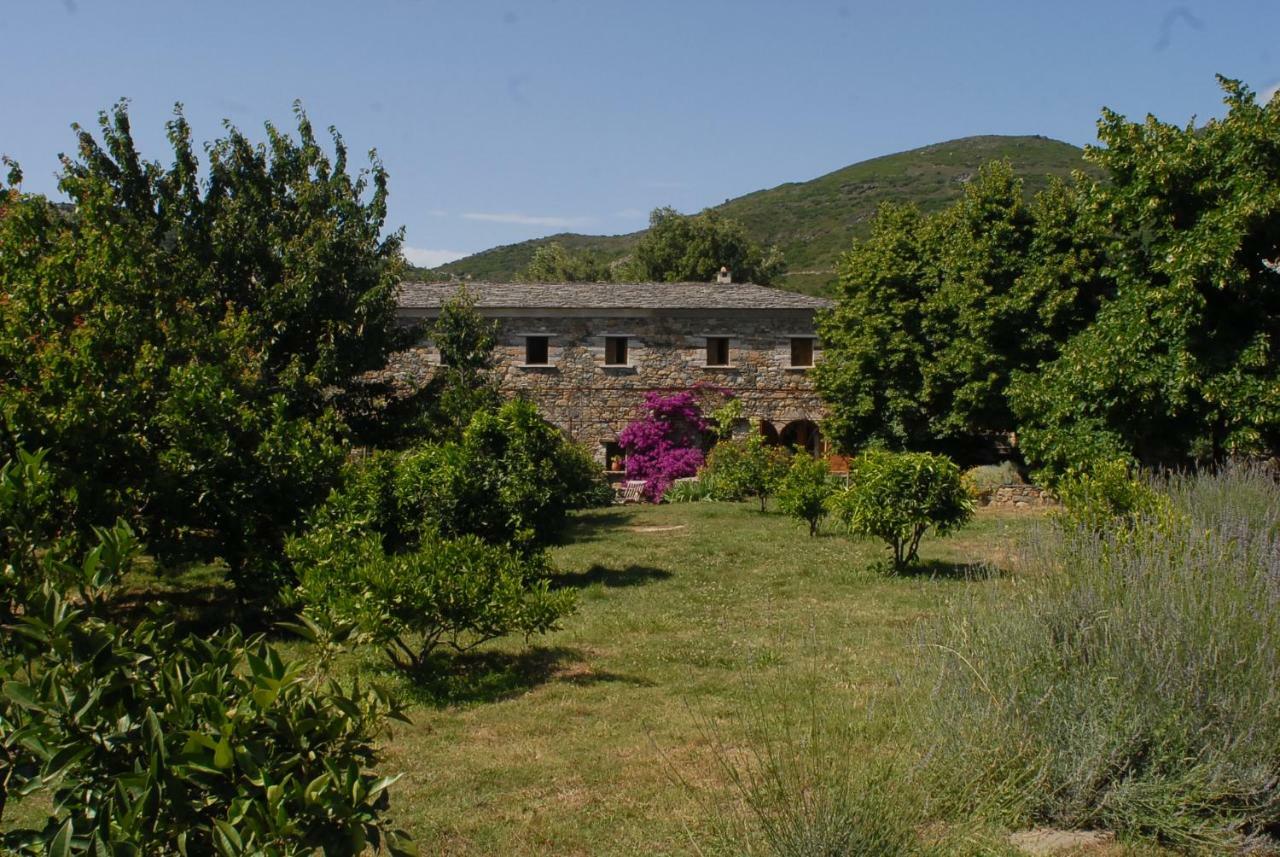 Casa-albina-corsica Patrimonio