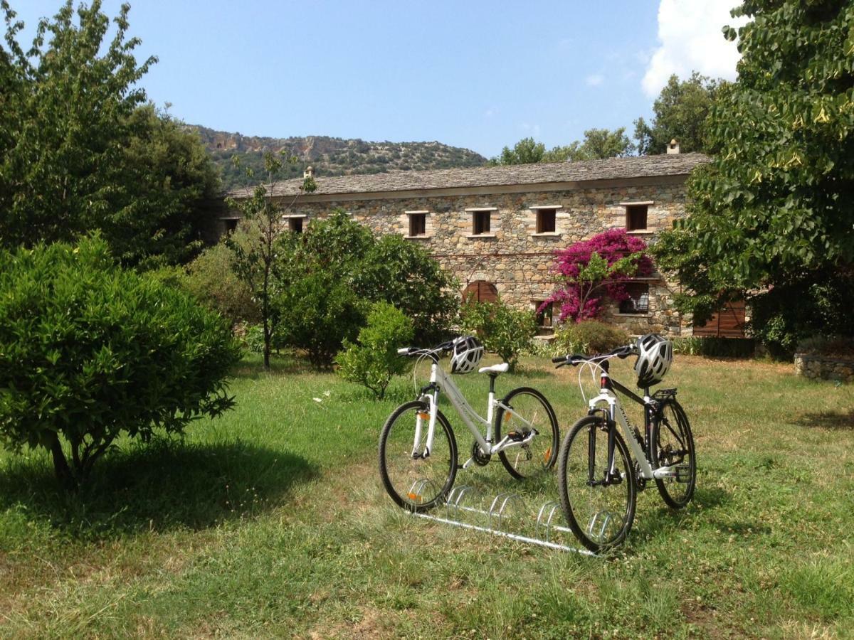 Casa-albina-corsica Patrimonio