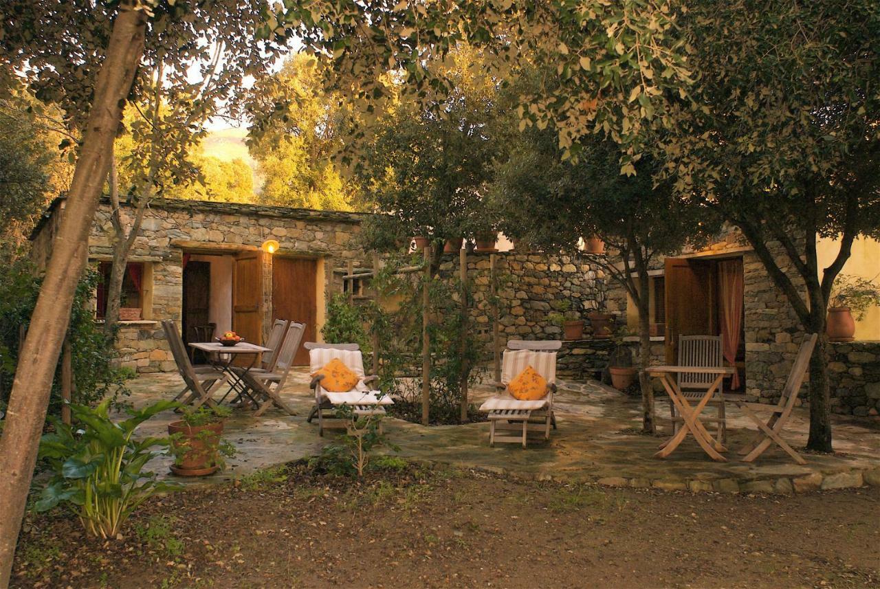 Holiday home Casa-albina-corsica *