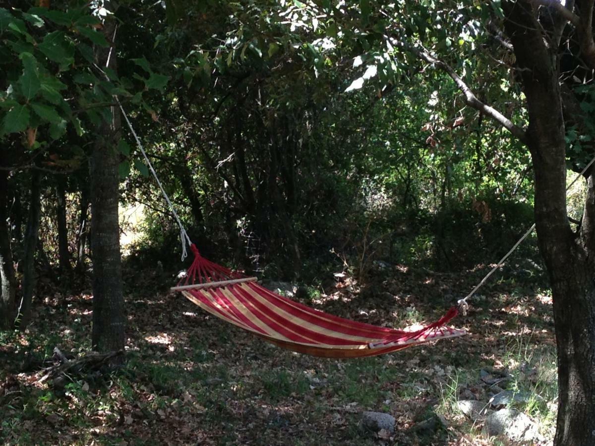 Casa-albina-corsica Holiday home *
