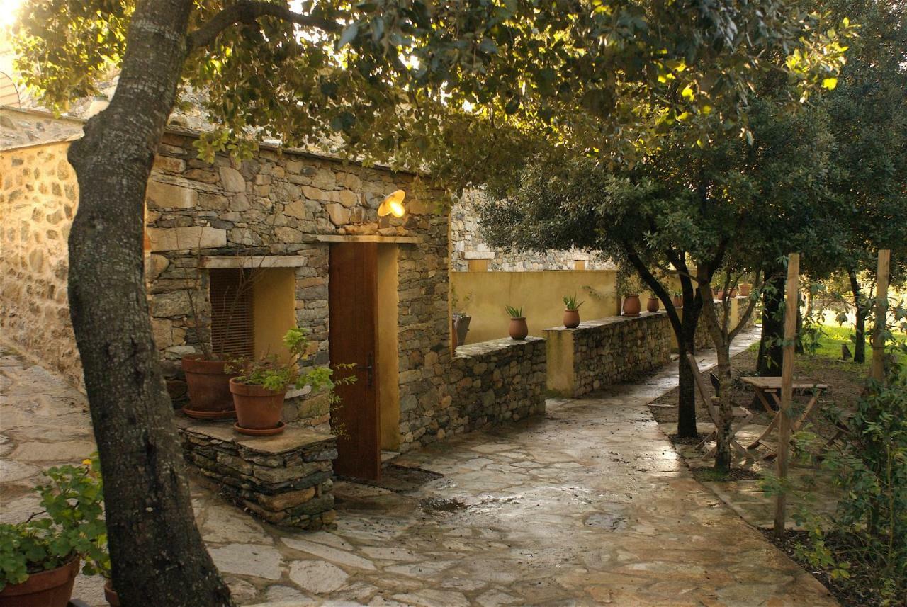Holiday home Casa-albina-corsica Patrimonio