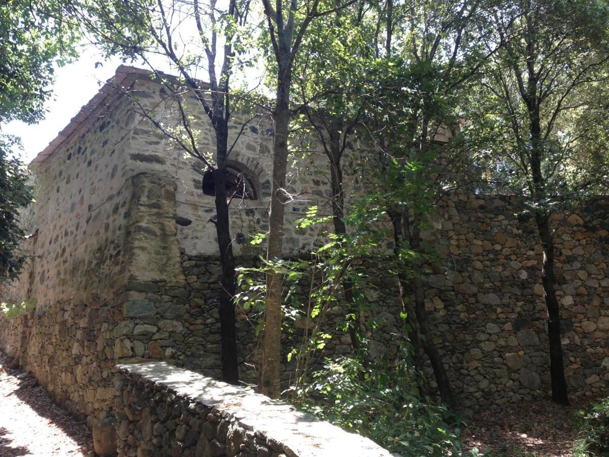 Holiday home Casa-albina-corsica *